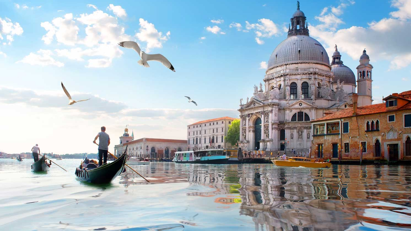 TOUR VENEZIA, STORICA ED EBRAICA