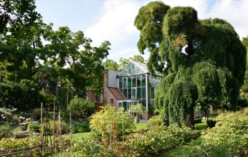 ORTO BOTANICO DI  TORINO E MEDITAZIONI BIBLICHE - immagine 3