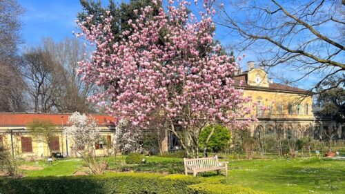 ORTO BOTANICO DI  TORINO E MEDITAZIONI BIBLICHE - immagine 2